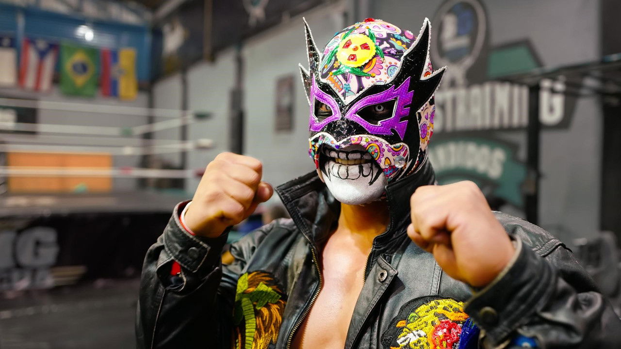 Mexico City - creative and combative