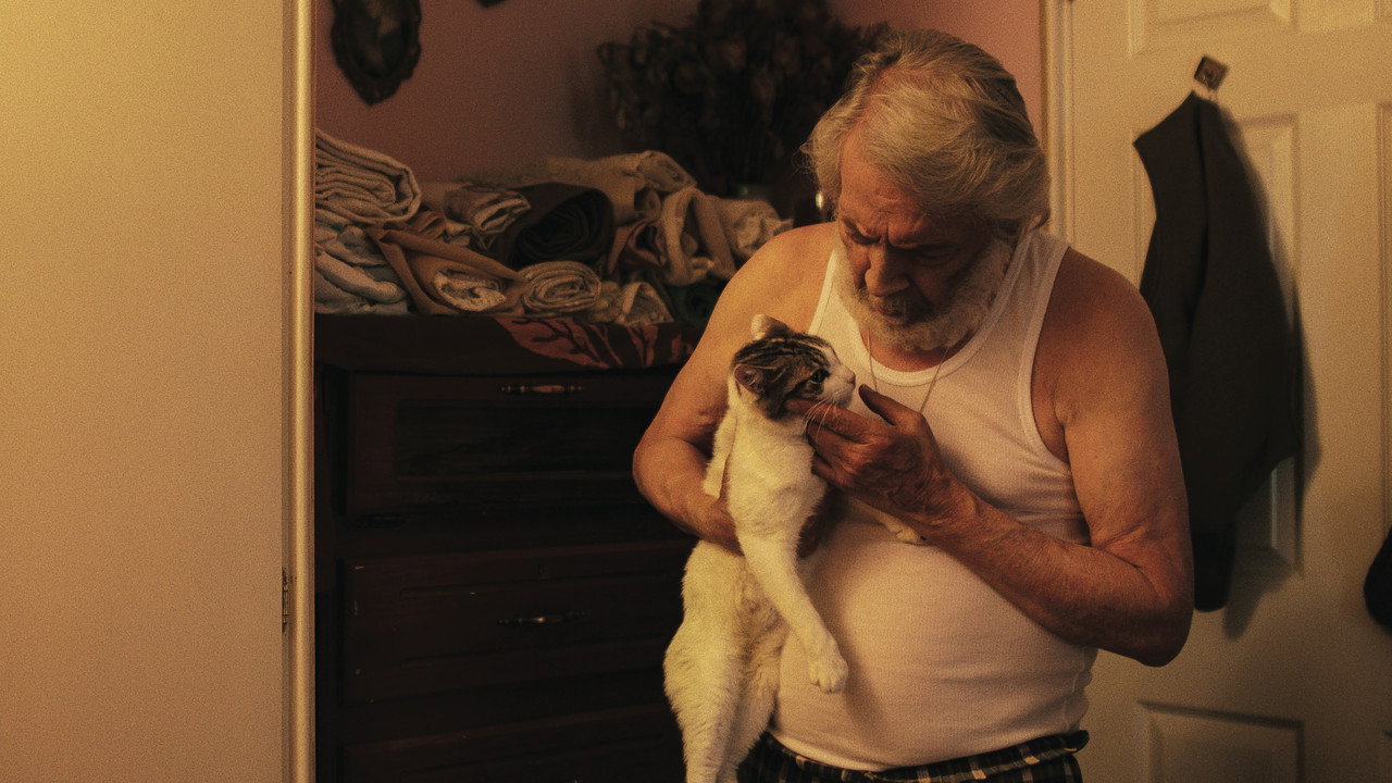 Damned Old People (2025)