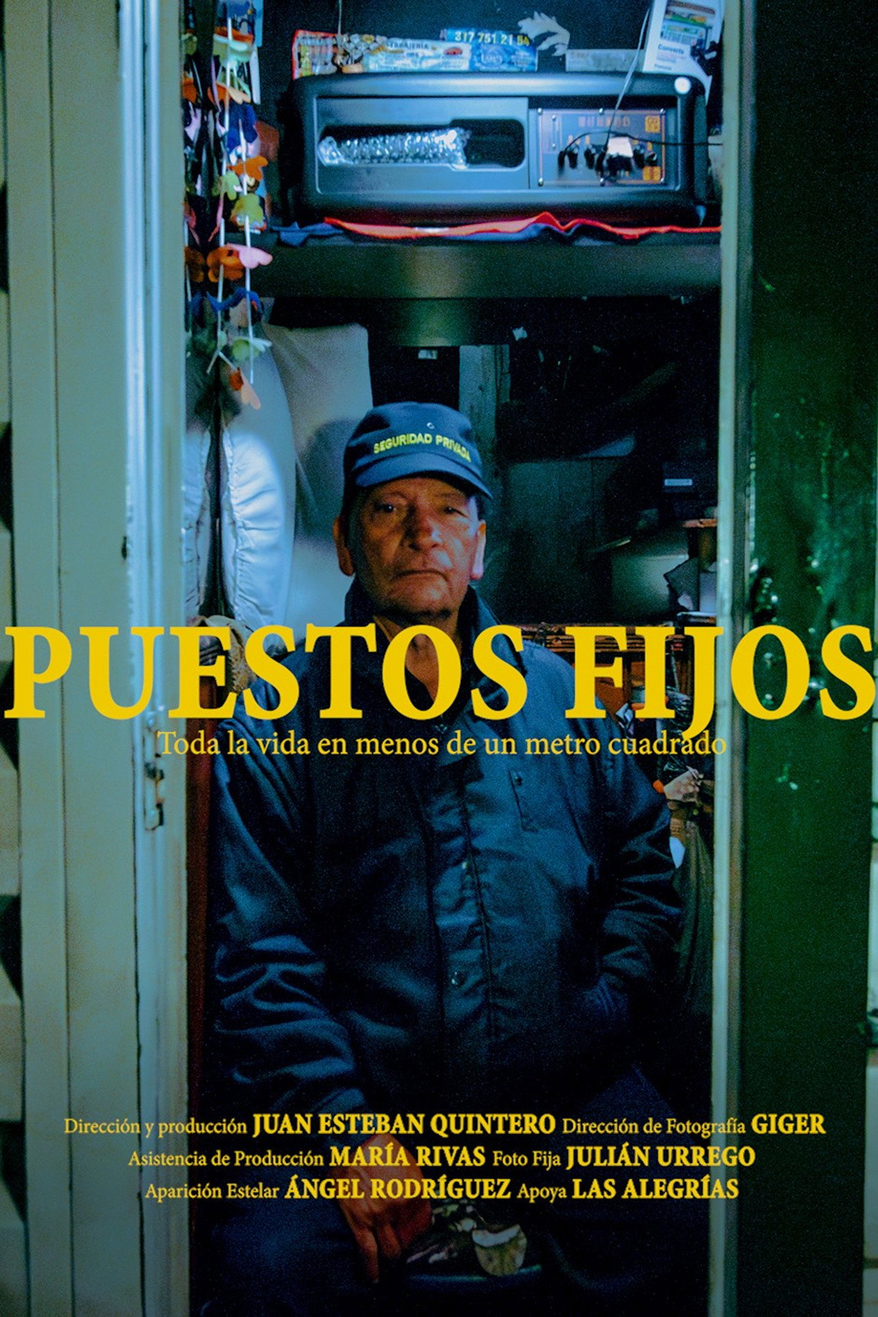 Puestos Fijos