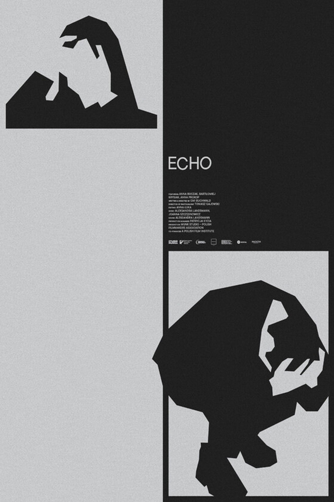 Echo poster