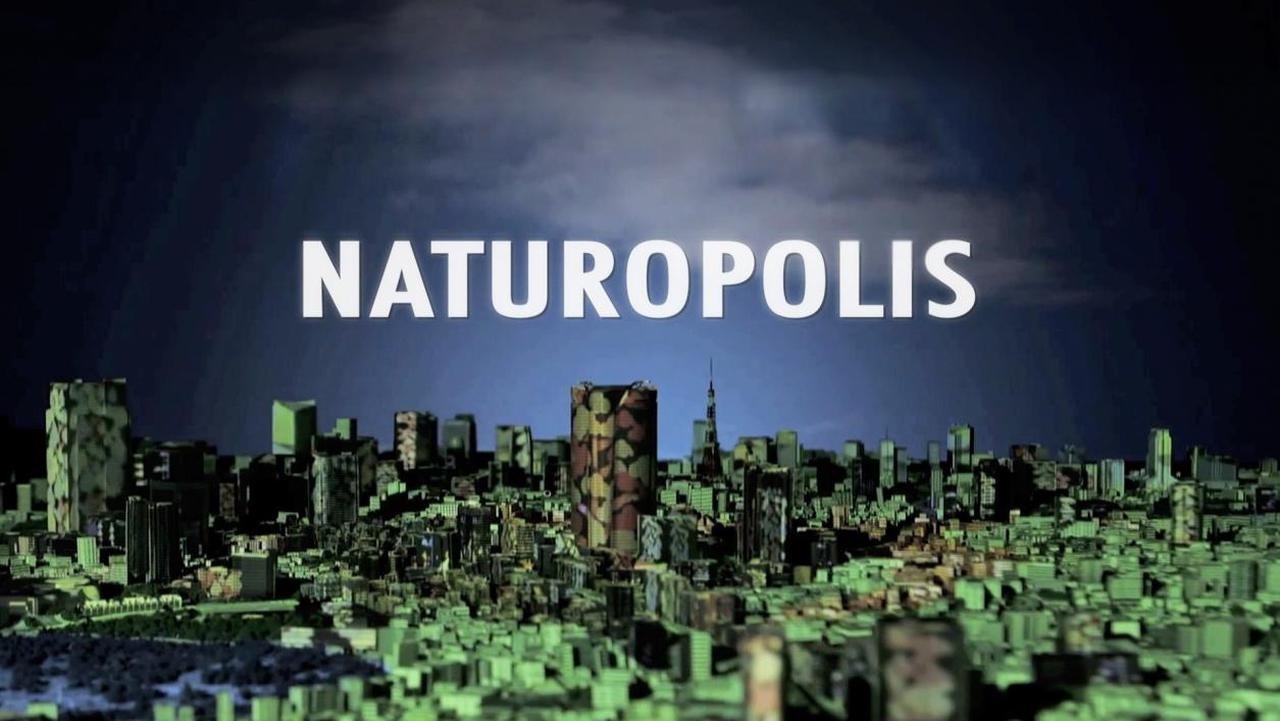 Naturopolis background