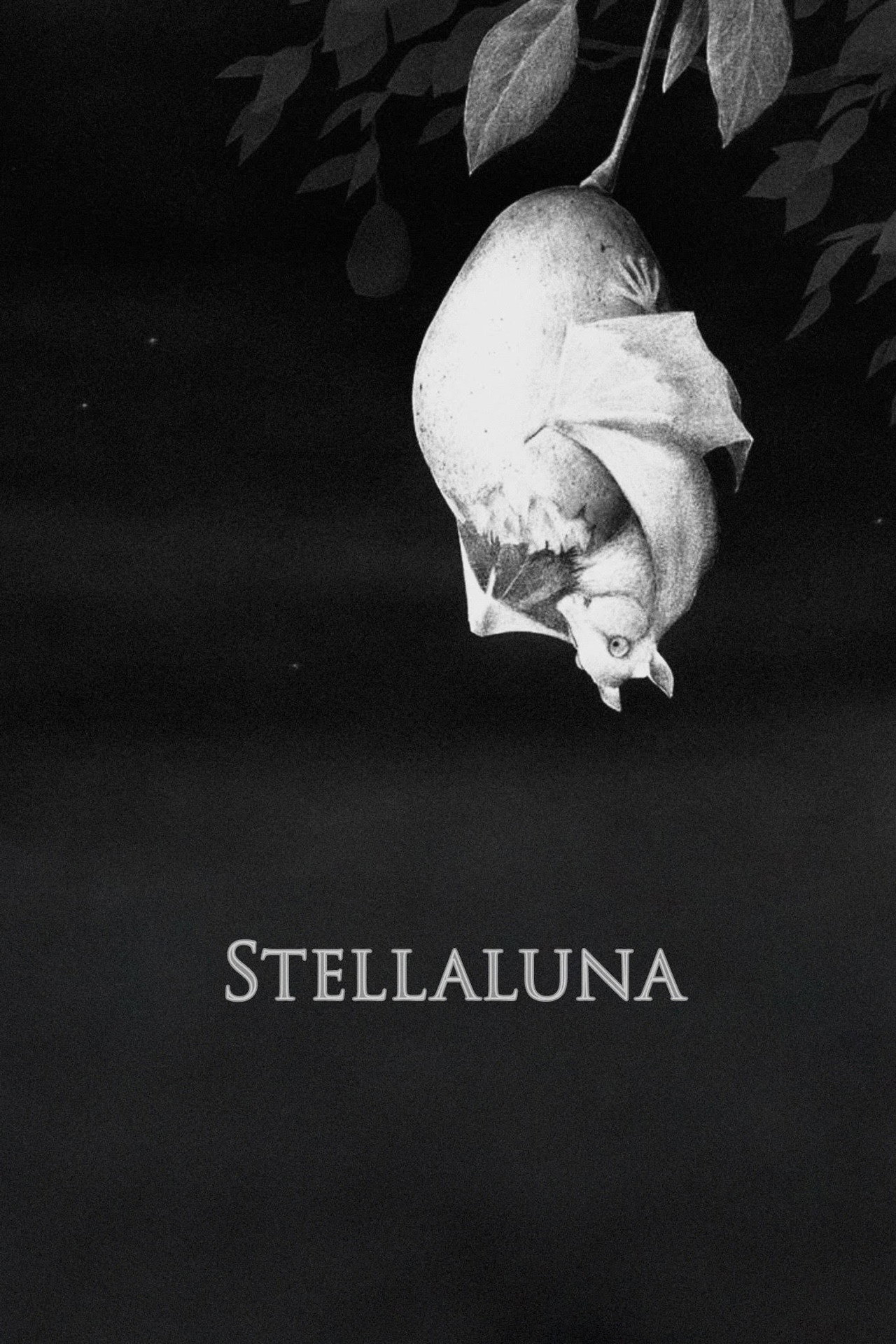Stellaluna – plakát 3
