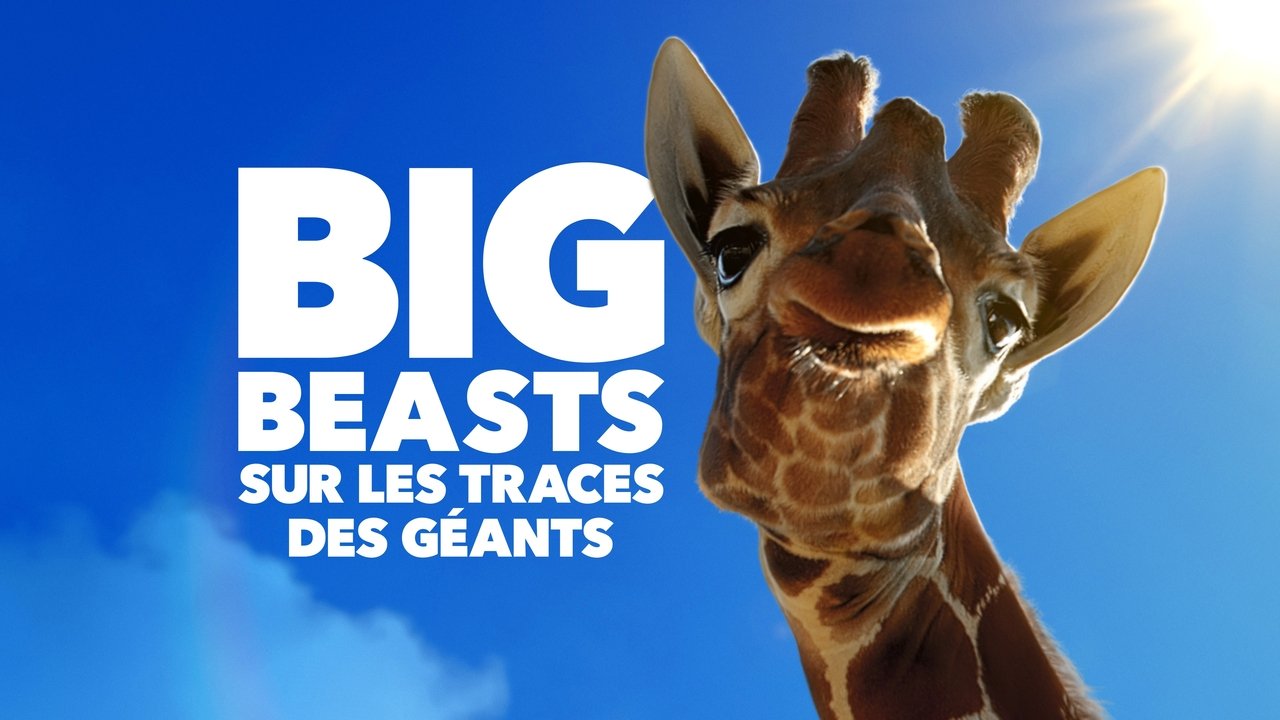 Big Beasts background