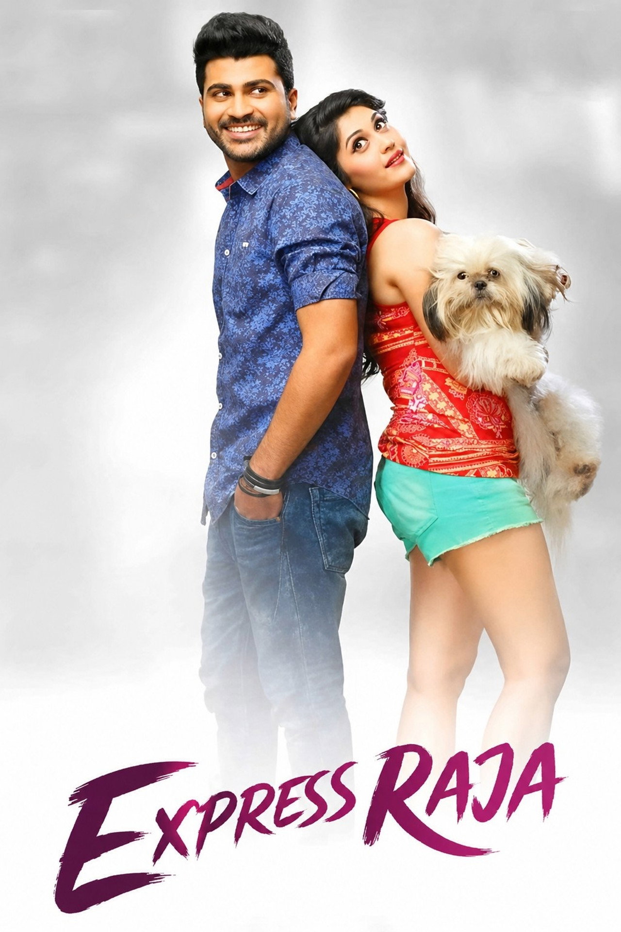Express Raja 2016 Dual Audio Hindi ORG 1080p 720p 480p WEB-DL x264 ESubs