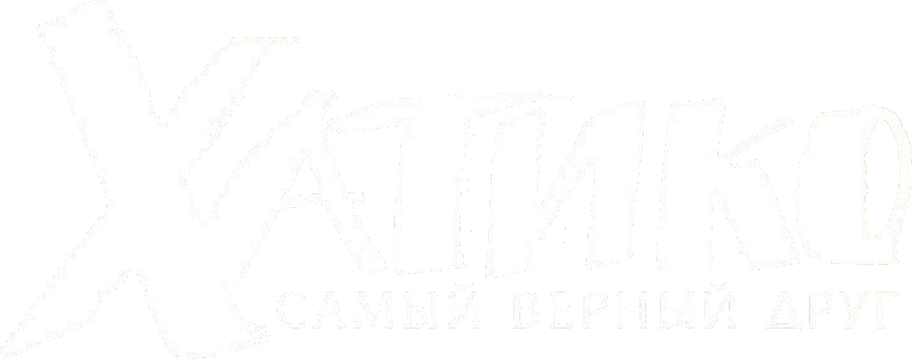 Хатико: Самый верный друг