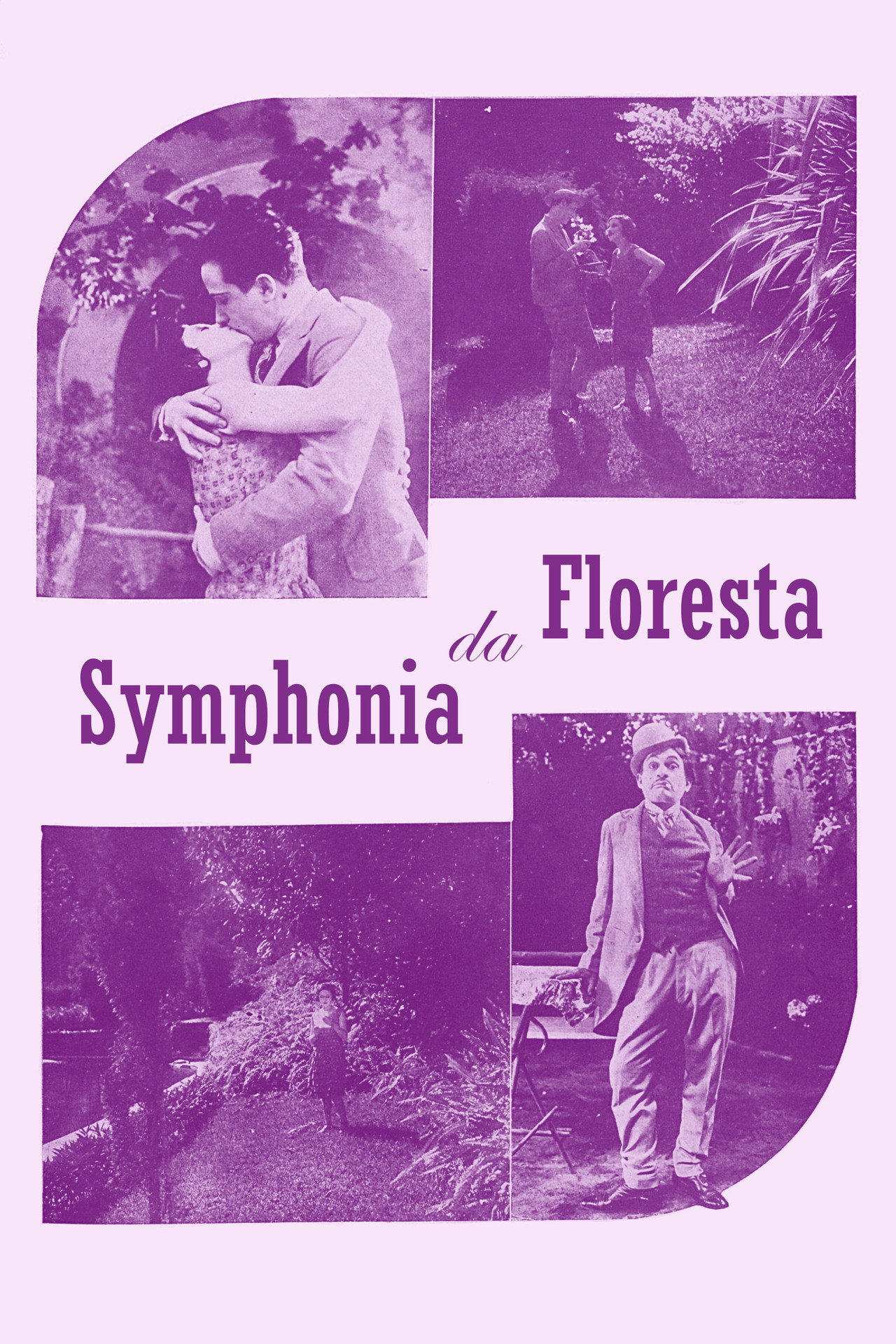 Sinfonia da Floresta filmaffisch