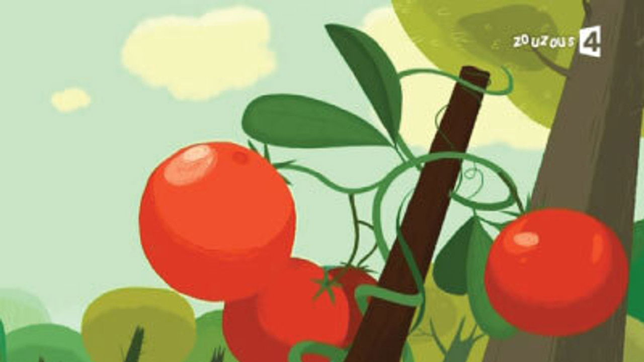 Flapacha, où es-tu ? — Drôles de tomates