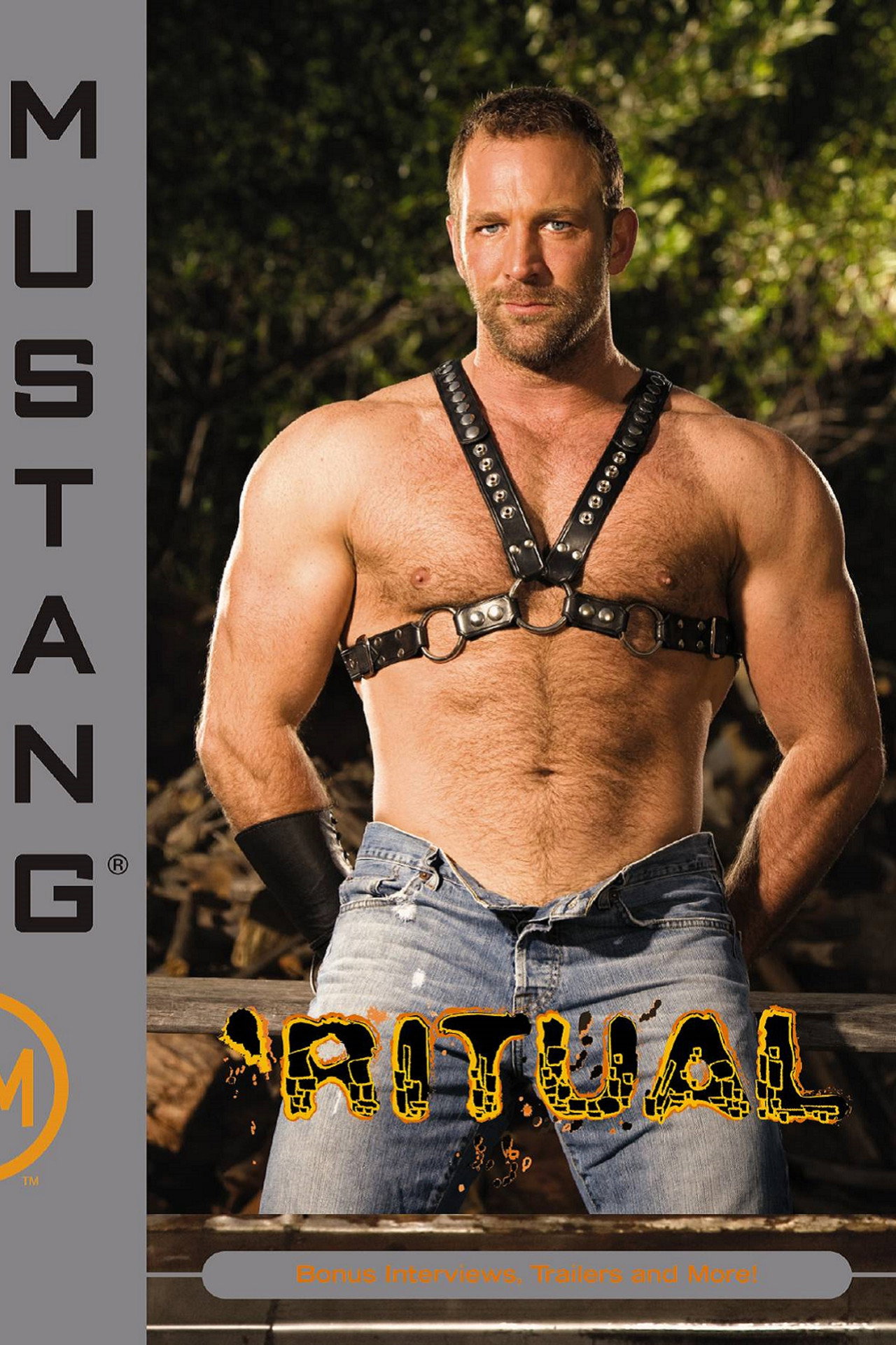 Ritual filmaffisch