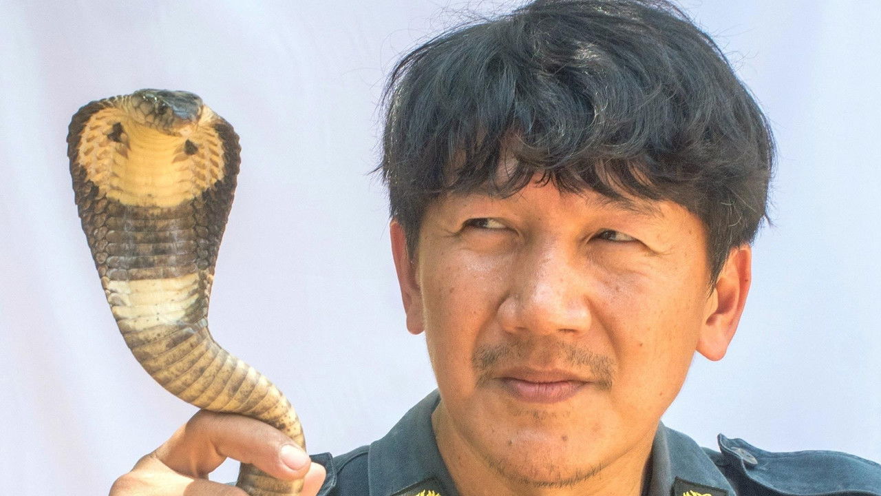 360° Géo — Bangkok, les chasseurs de serpents