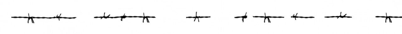 Primo