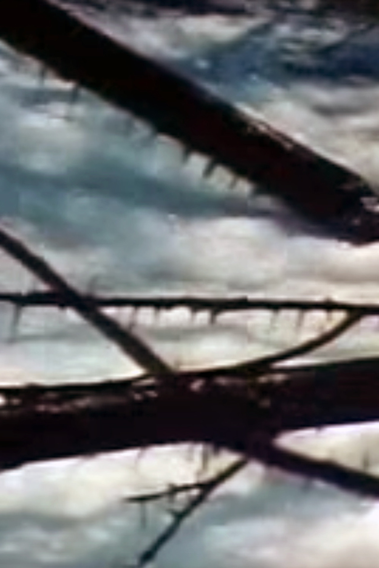 Seasons Project filmaffisch