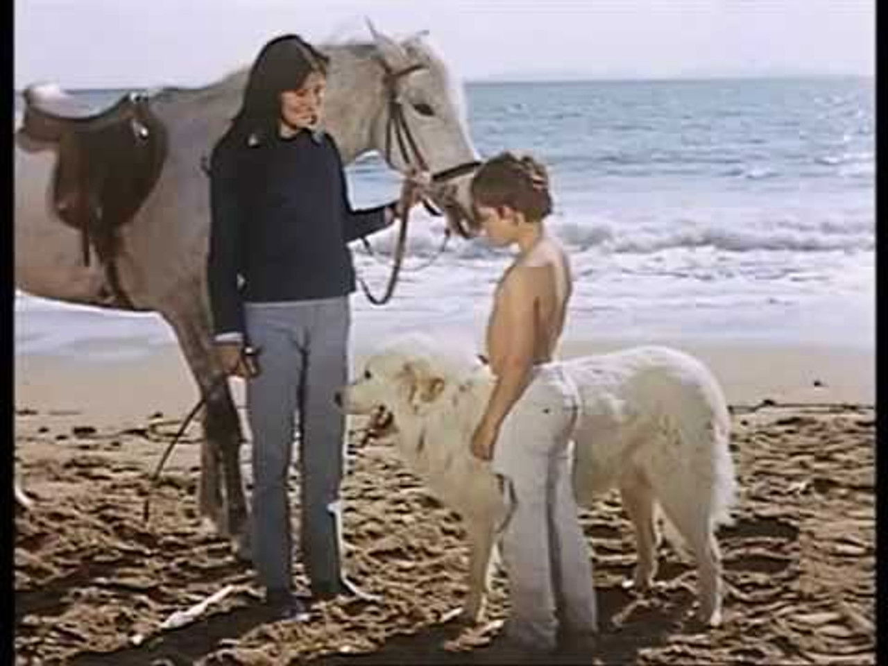 Belle et Sébastien — La rupture