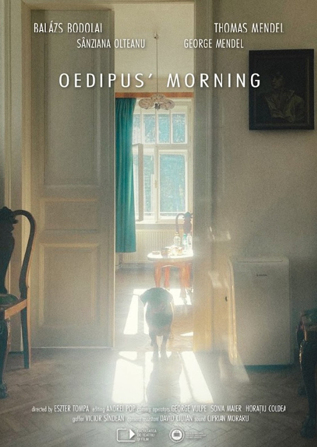 Dimineața lui Oedip filmaffisch