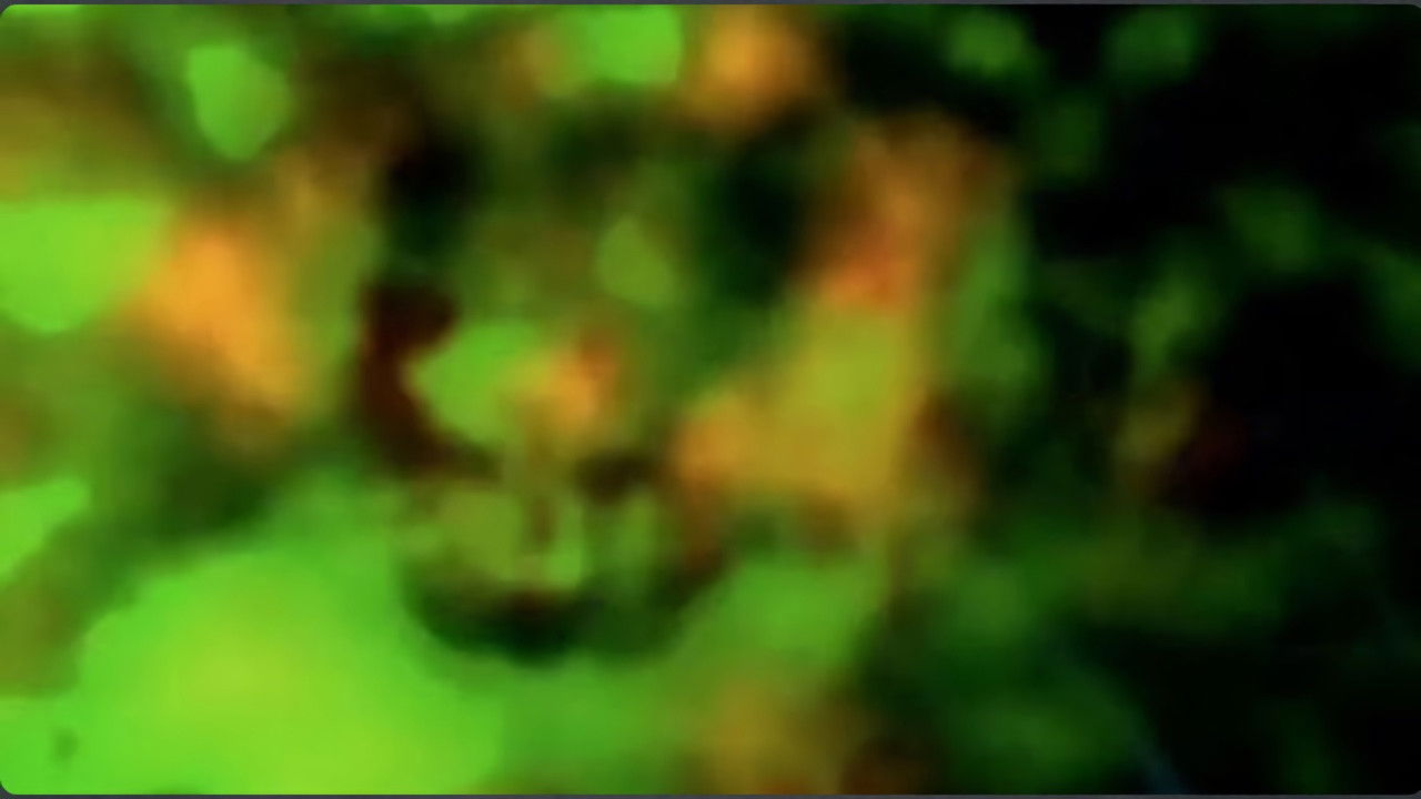 Massive Nature — L'Exode