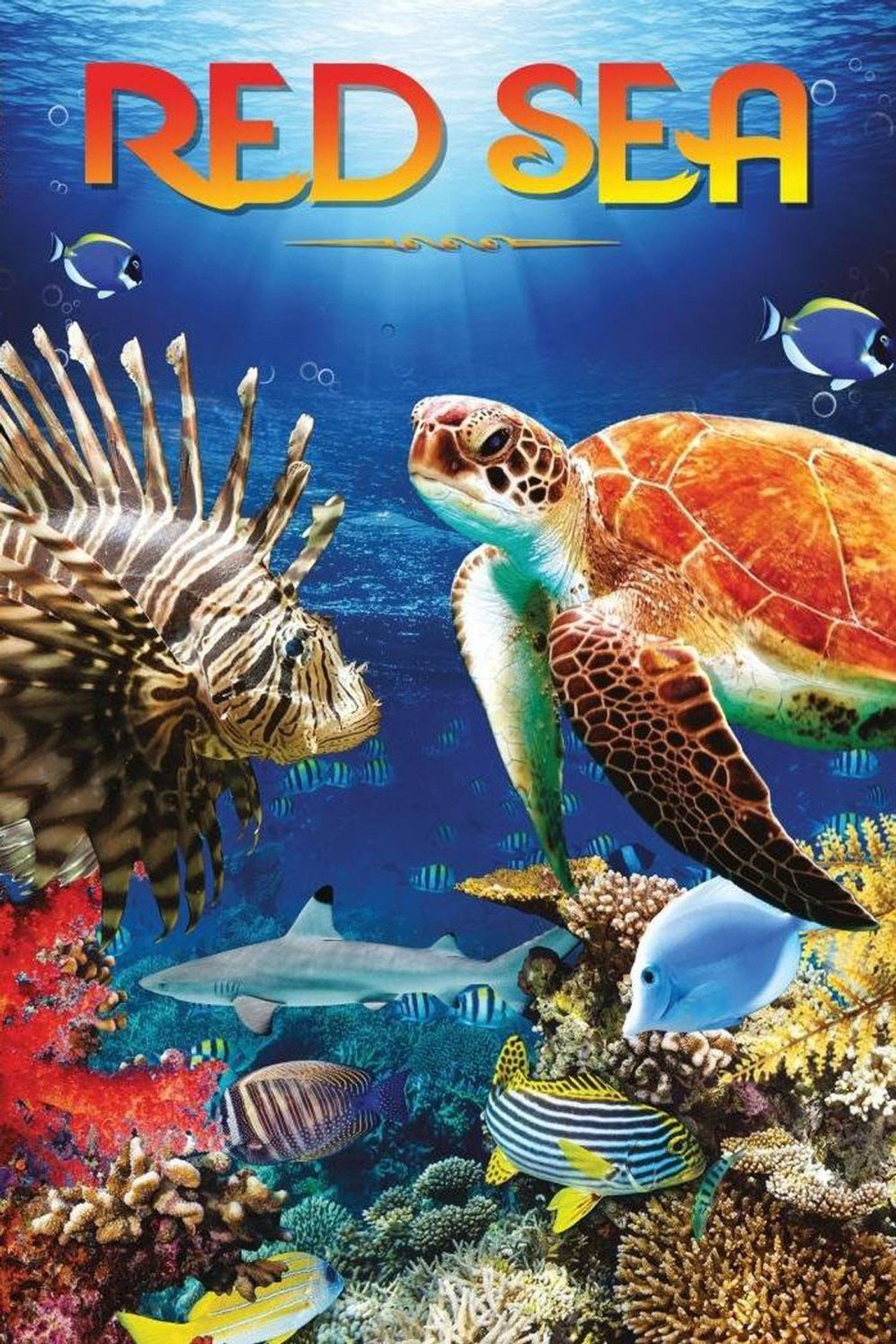Red Sea