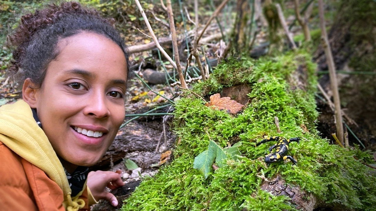 Pia und die wilden Tiere — Épisode 6