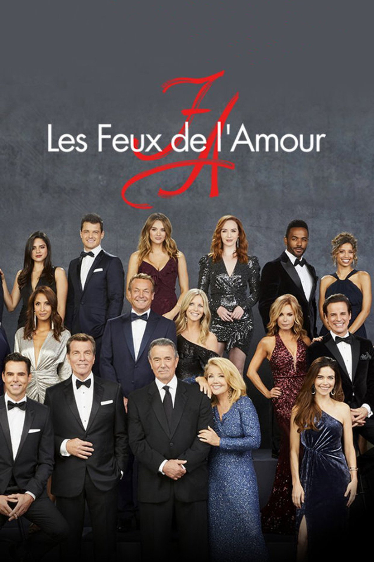 Les Feux de l'Amour poster