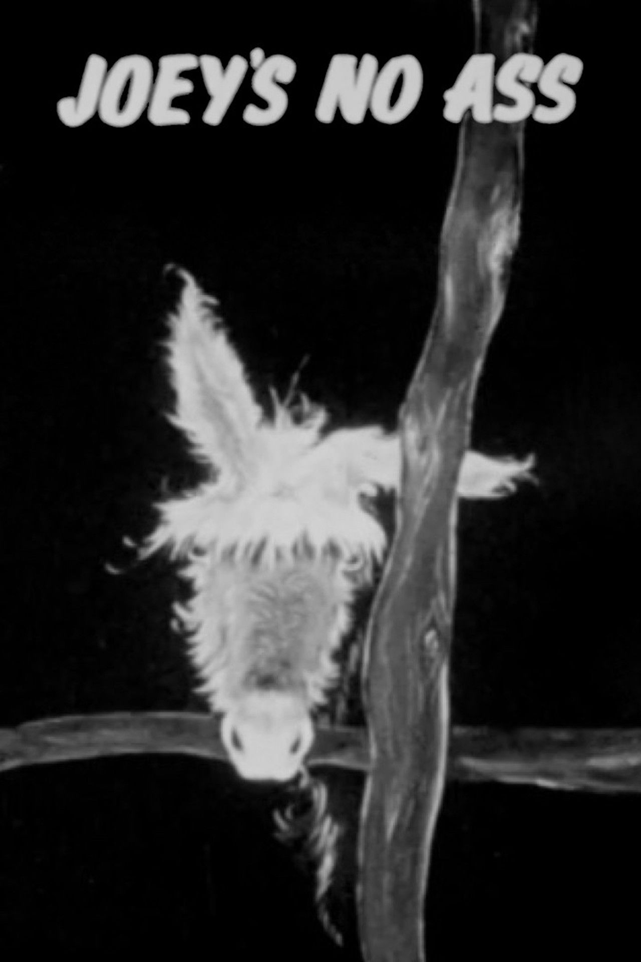 Joey's No Ass Backdrop
