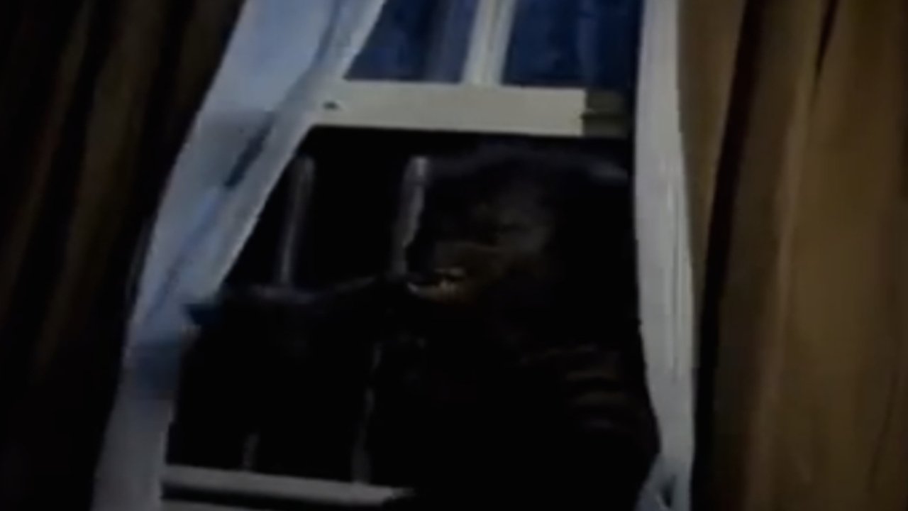 Goosebumps: Werewolf Skin backdrop