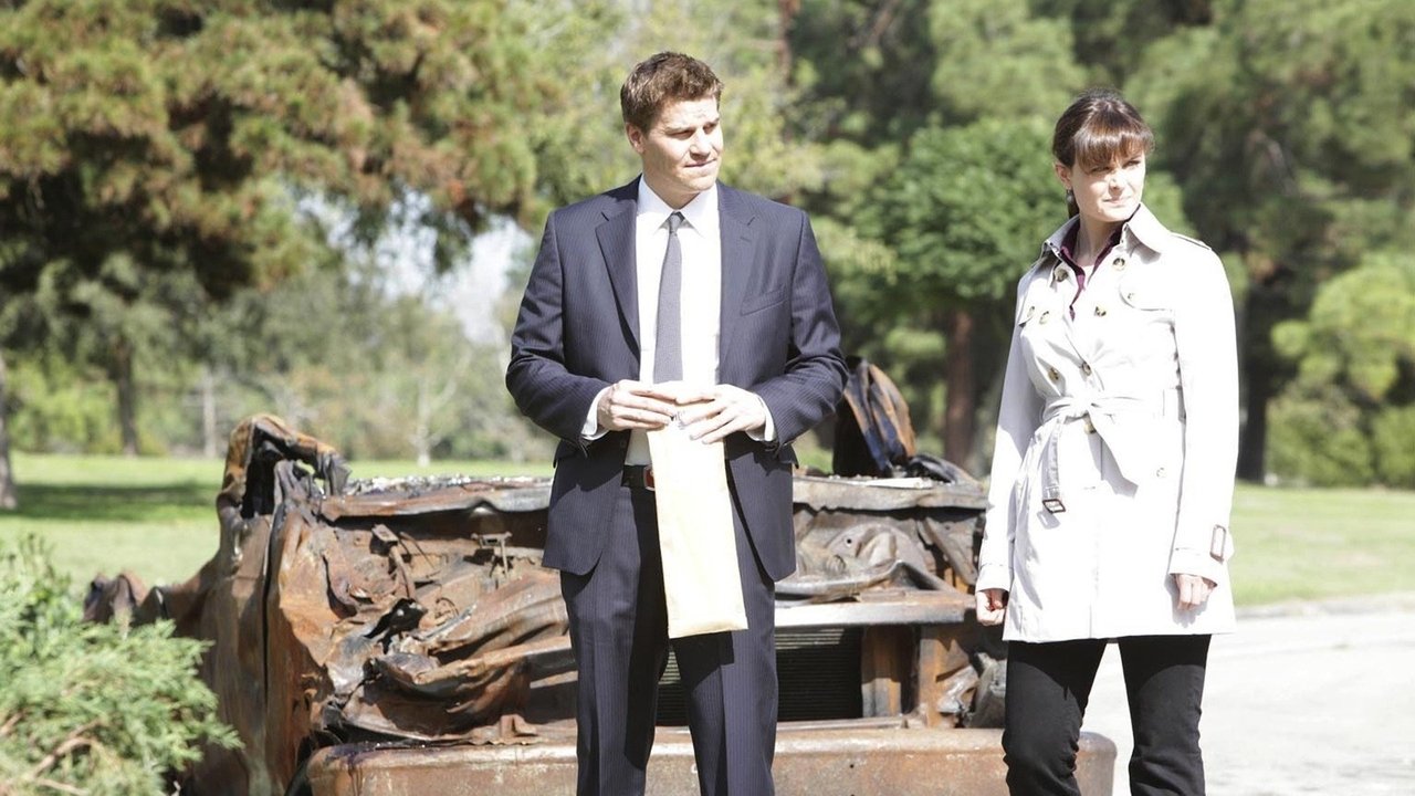 Bones - Season 6 Episode 8 : The Twisted Bones in the Melted Truck