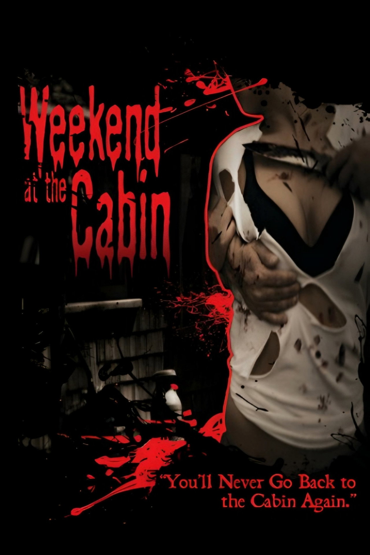 Weekend At The Cabin filmaffisch