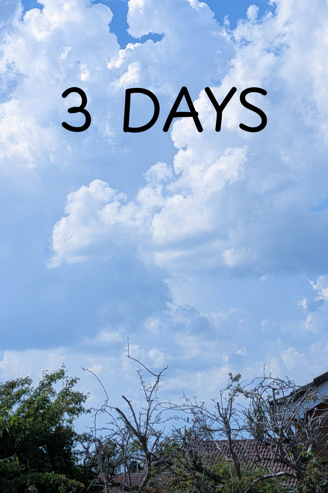 3 DAYS poster