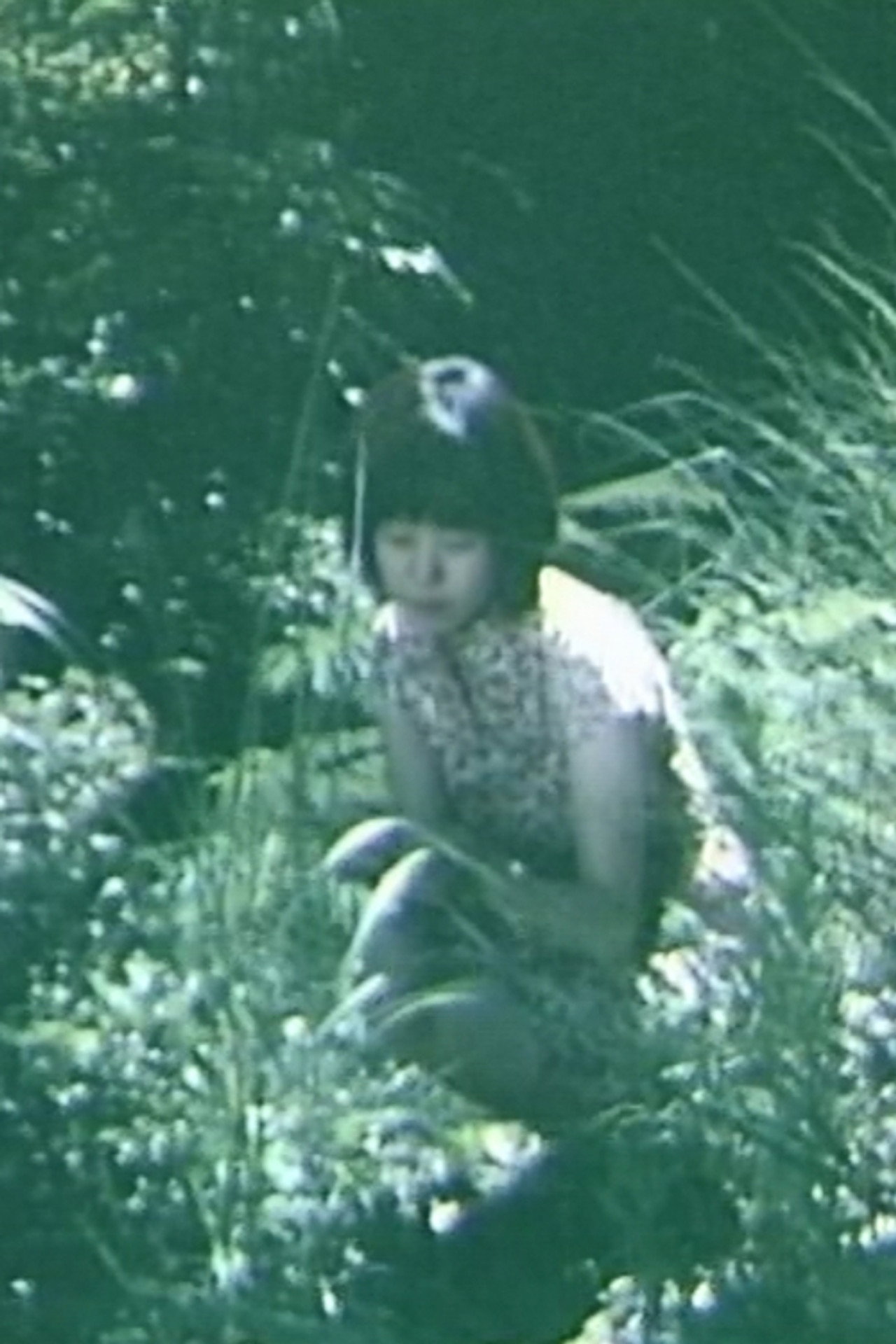 ミドリ filmaffisch