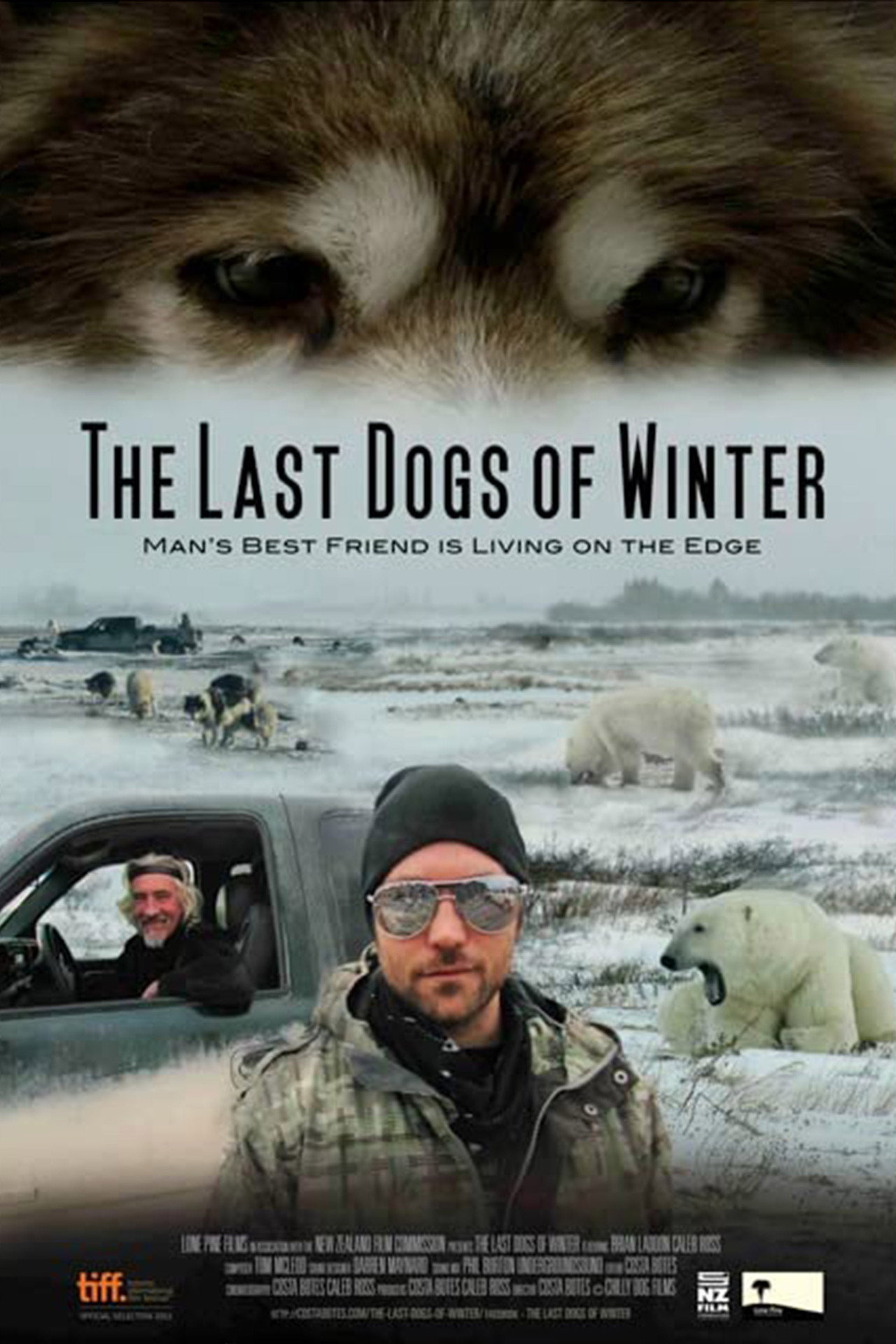 The Last Dogs of Winter filmaffisch