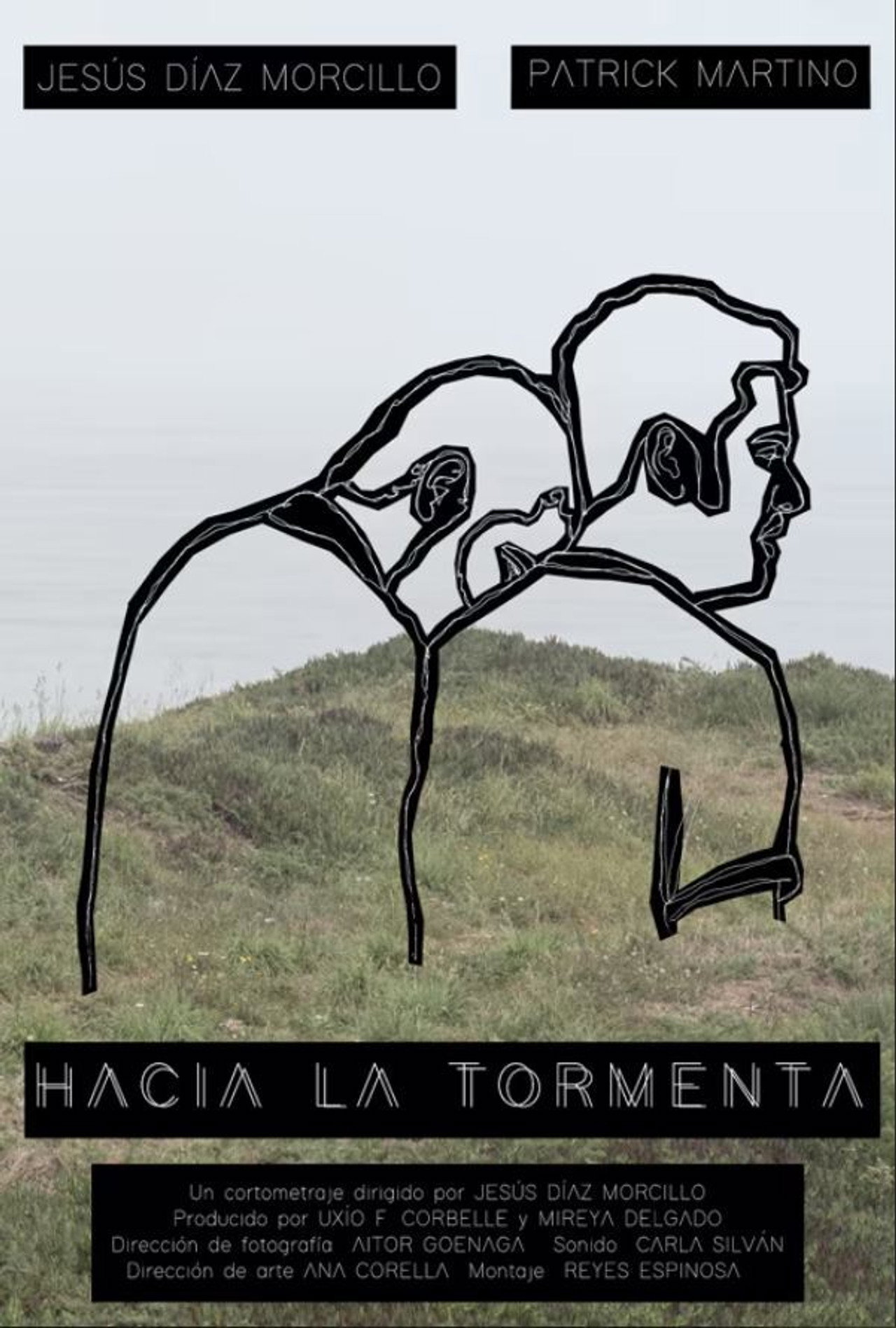 Hacia la tormenta filmaffisch
