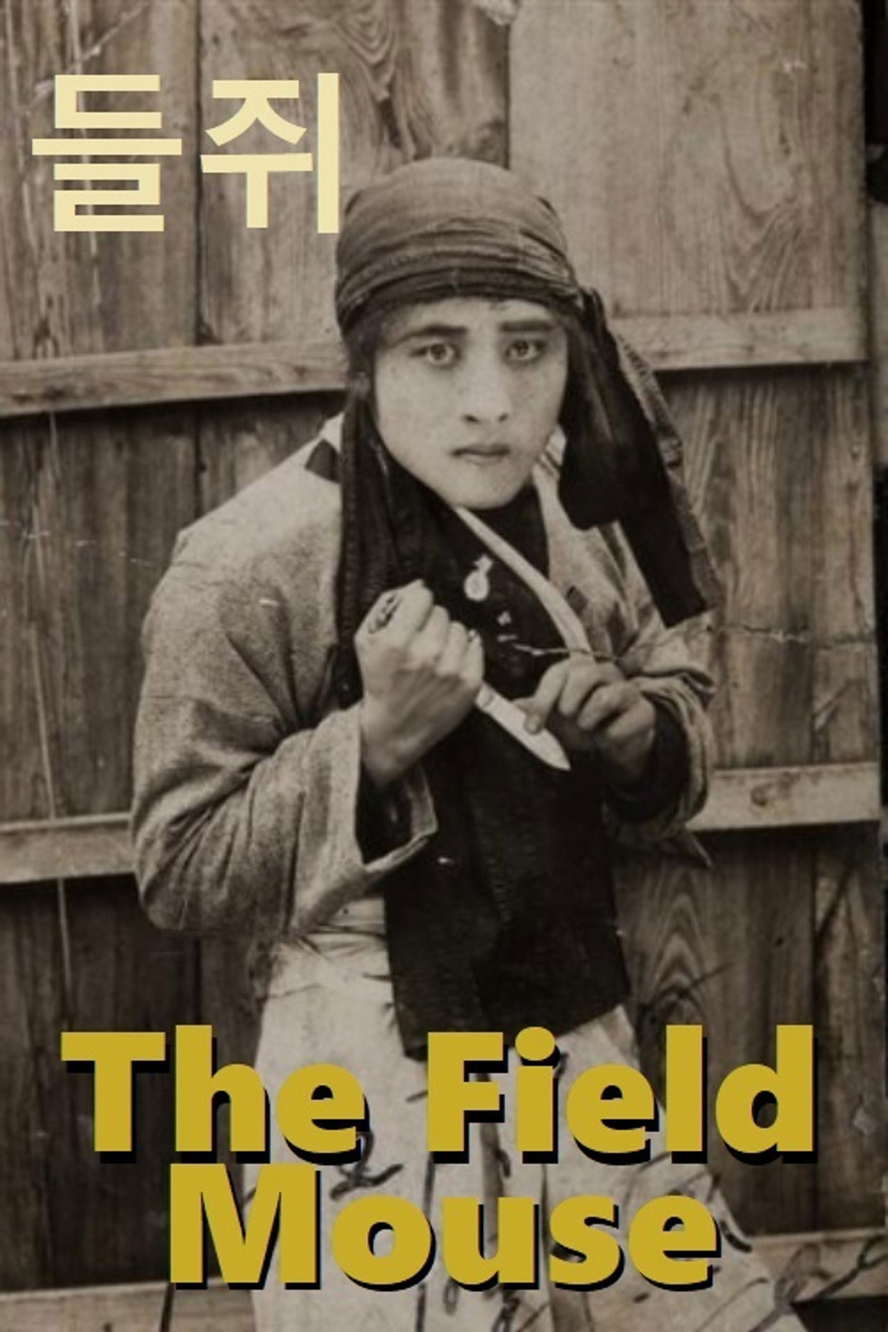 Field Mouse Backdrop