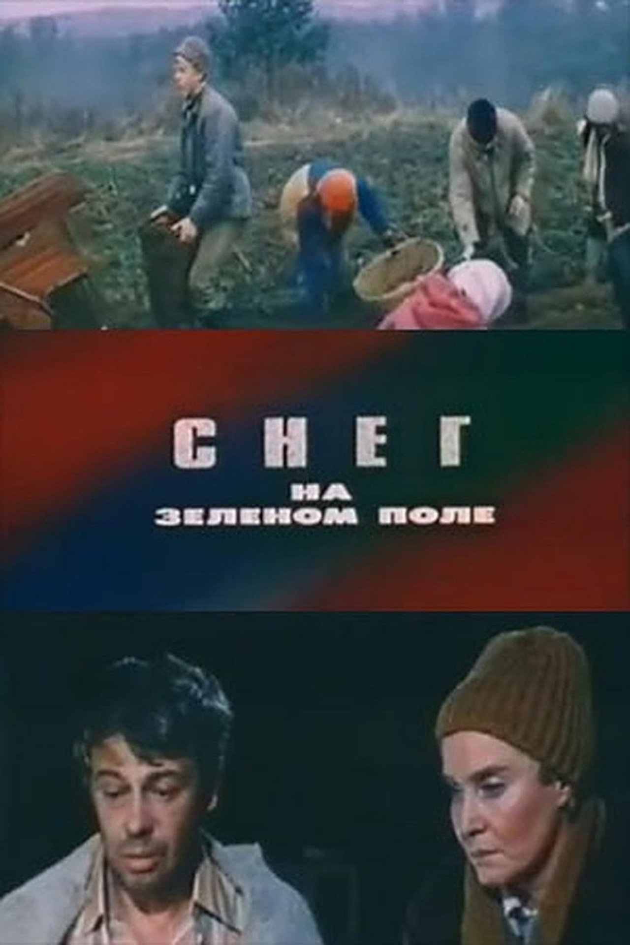 Снег на зелёном поле filmaffisch