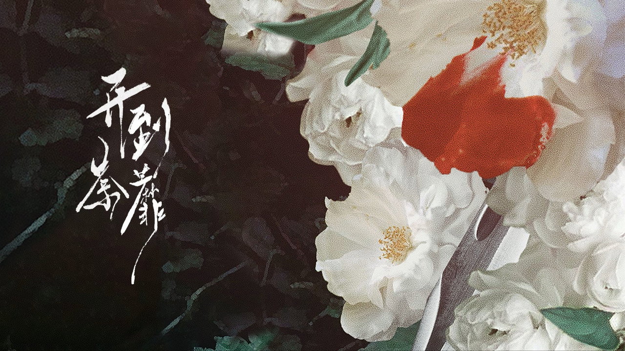 开到荼靡 시즌 1