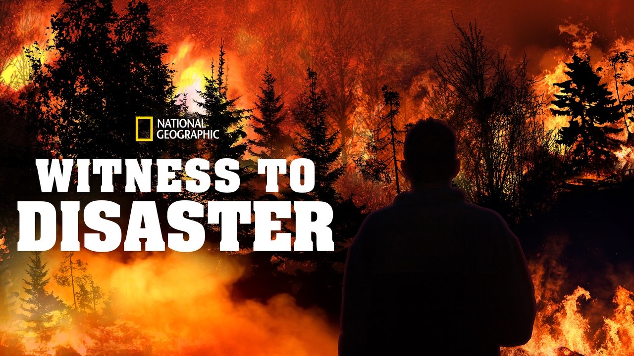 Witness to Disaster background