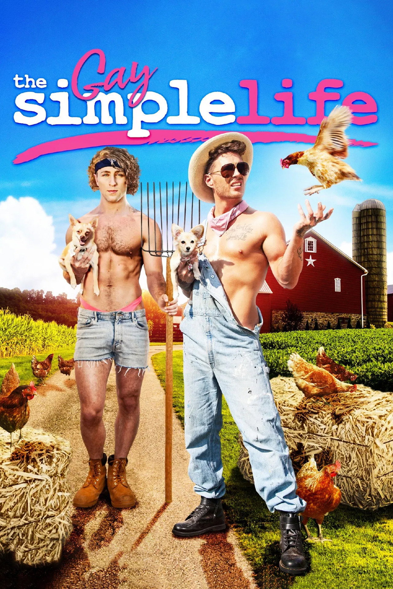 The Gay Simple Life filmaffisch