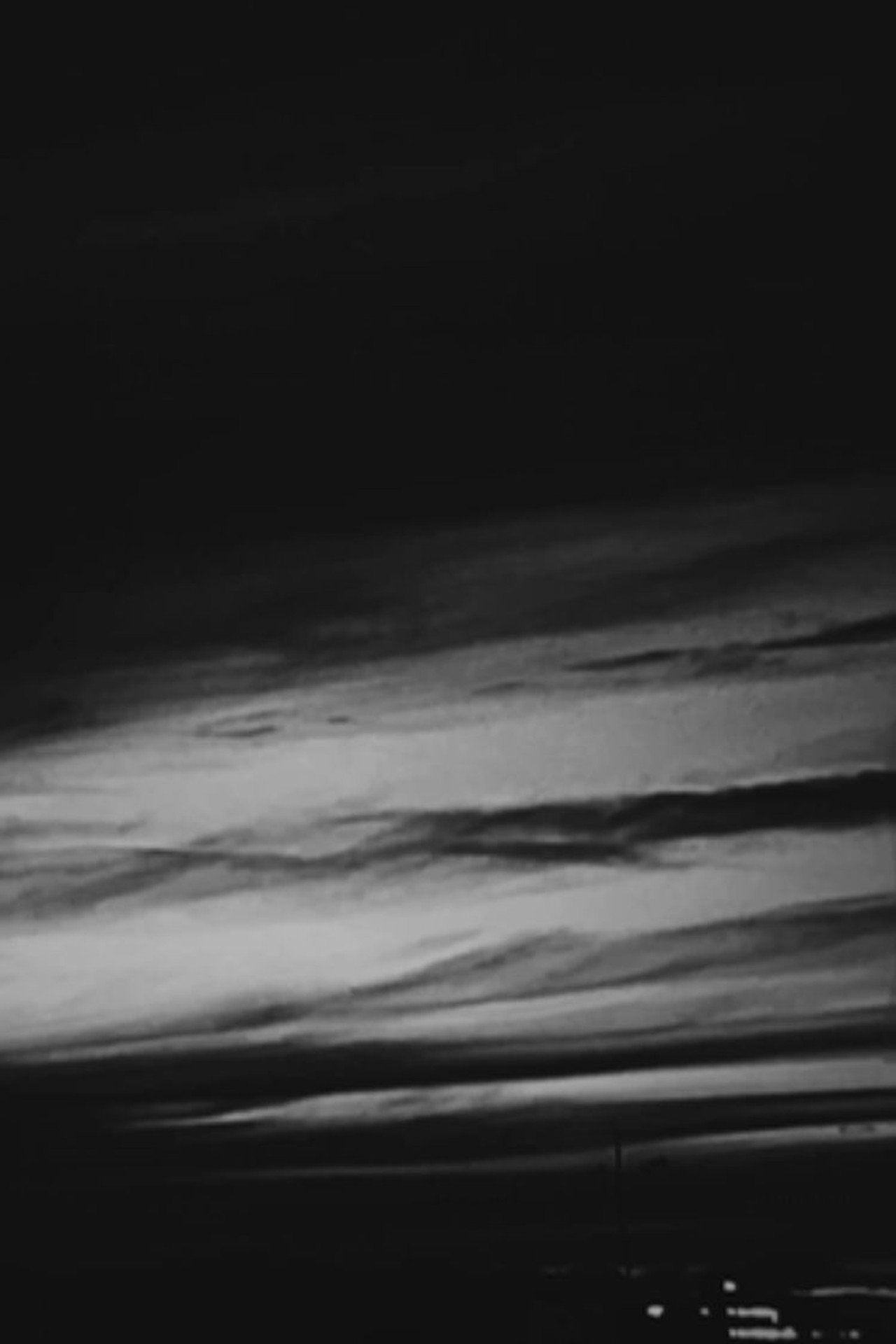 Like a bird days filmaffisch