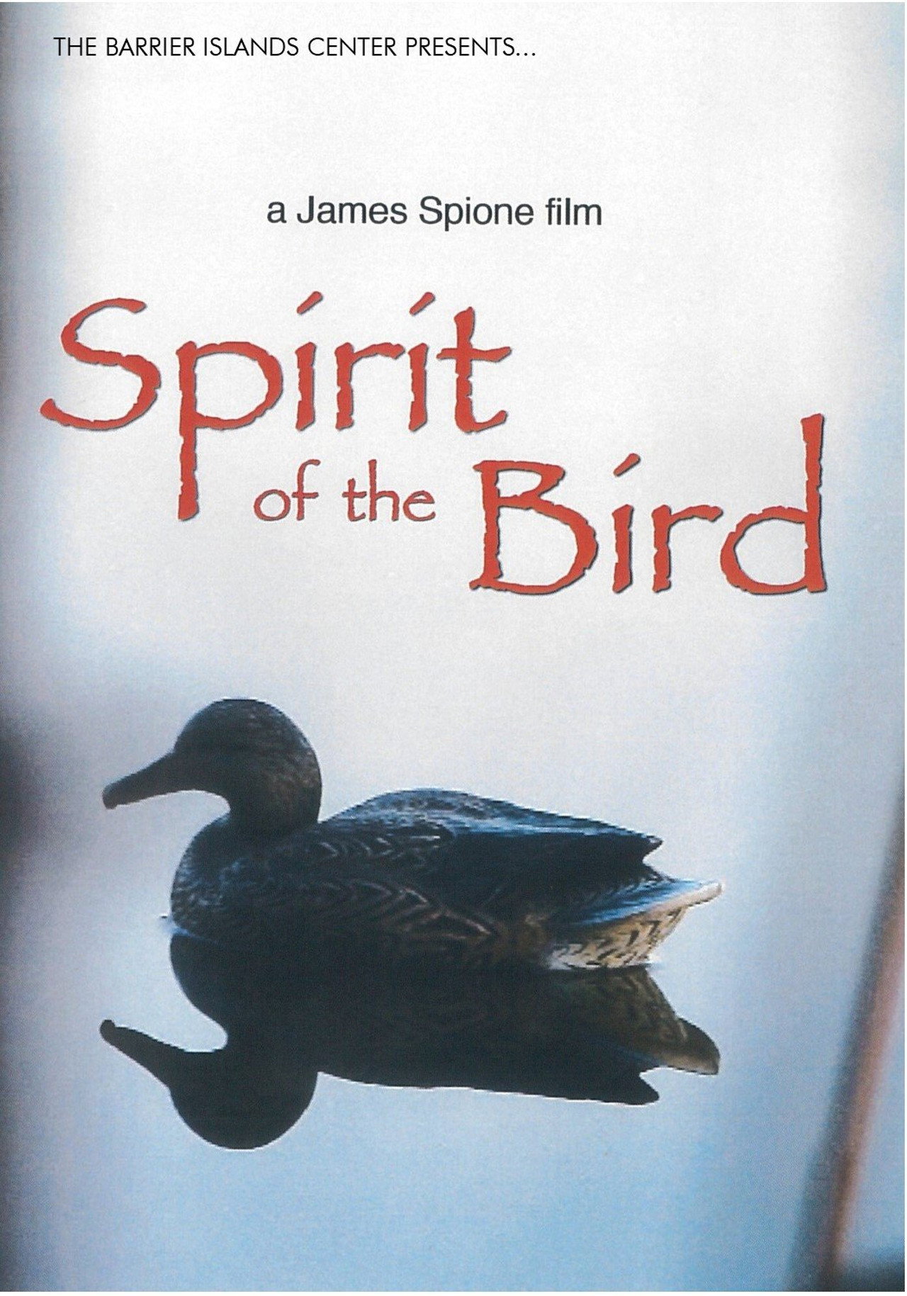 Spirit of the Bird filmaffisch