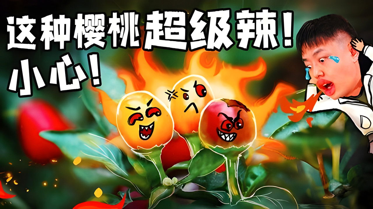 X Fun吃货俱乐部 — Épisode 4