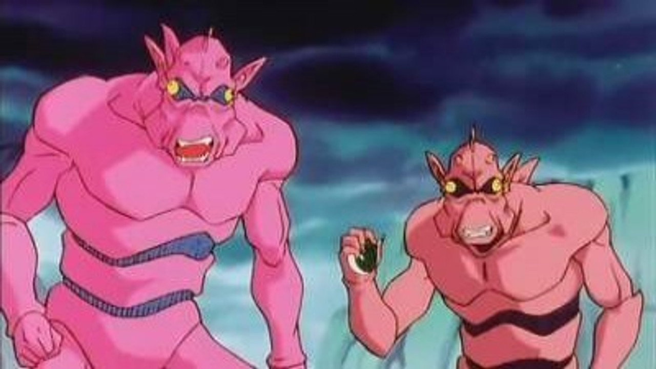 Image Private Dragon Ball Z