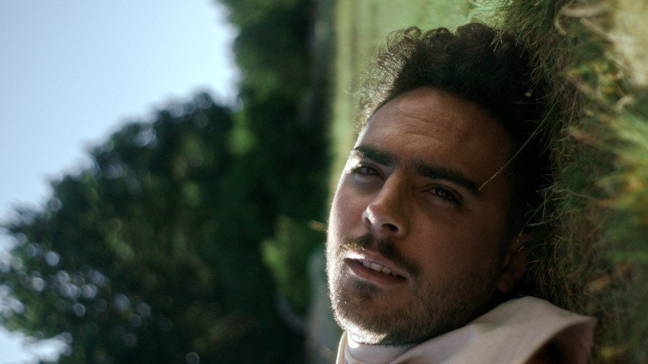 Ya están viniendo still 7