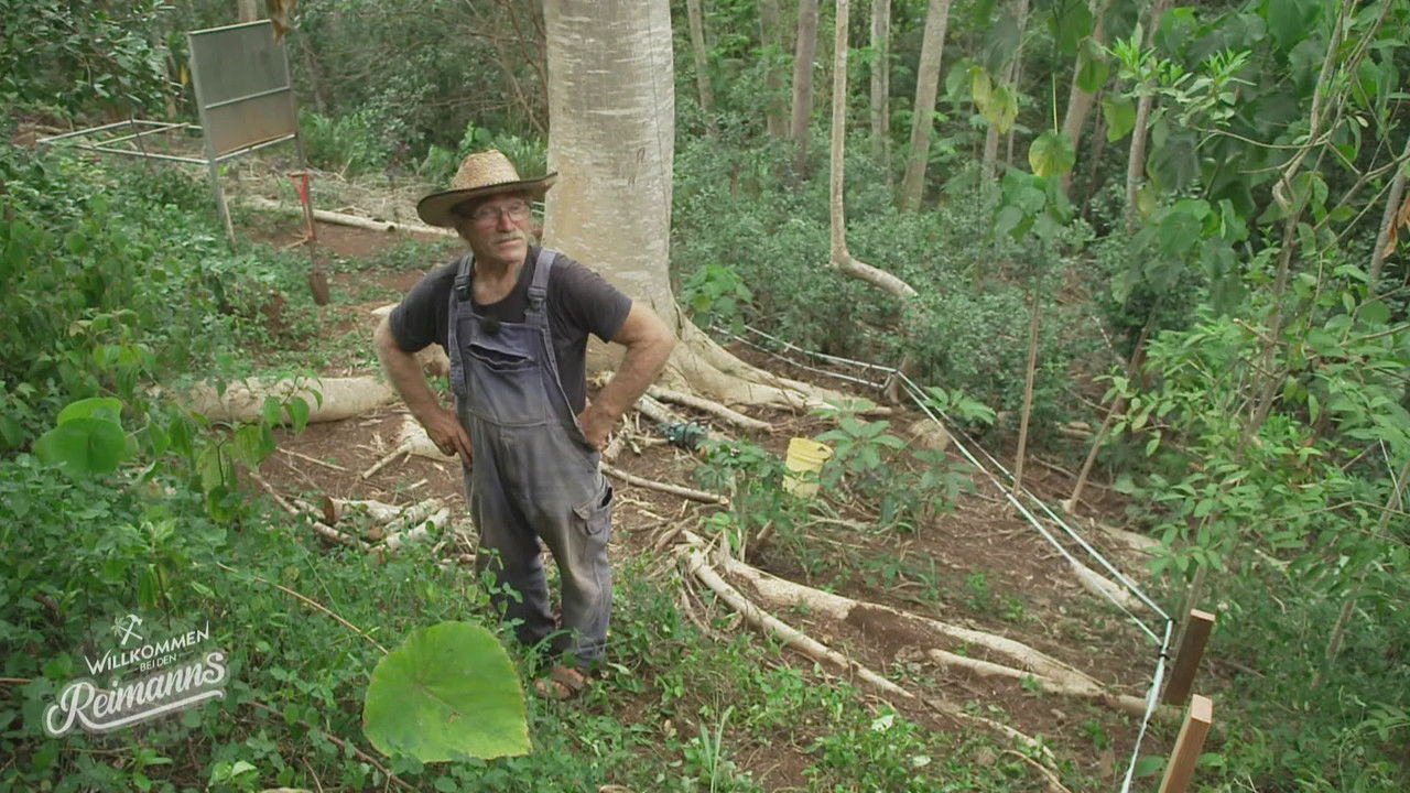 Willkommen bei den Reimanns - Season 1 Episode 3 : Episode 3