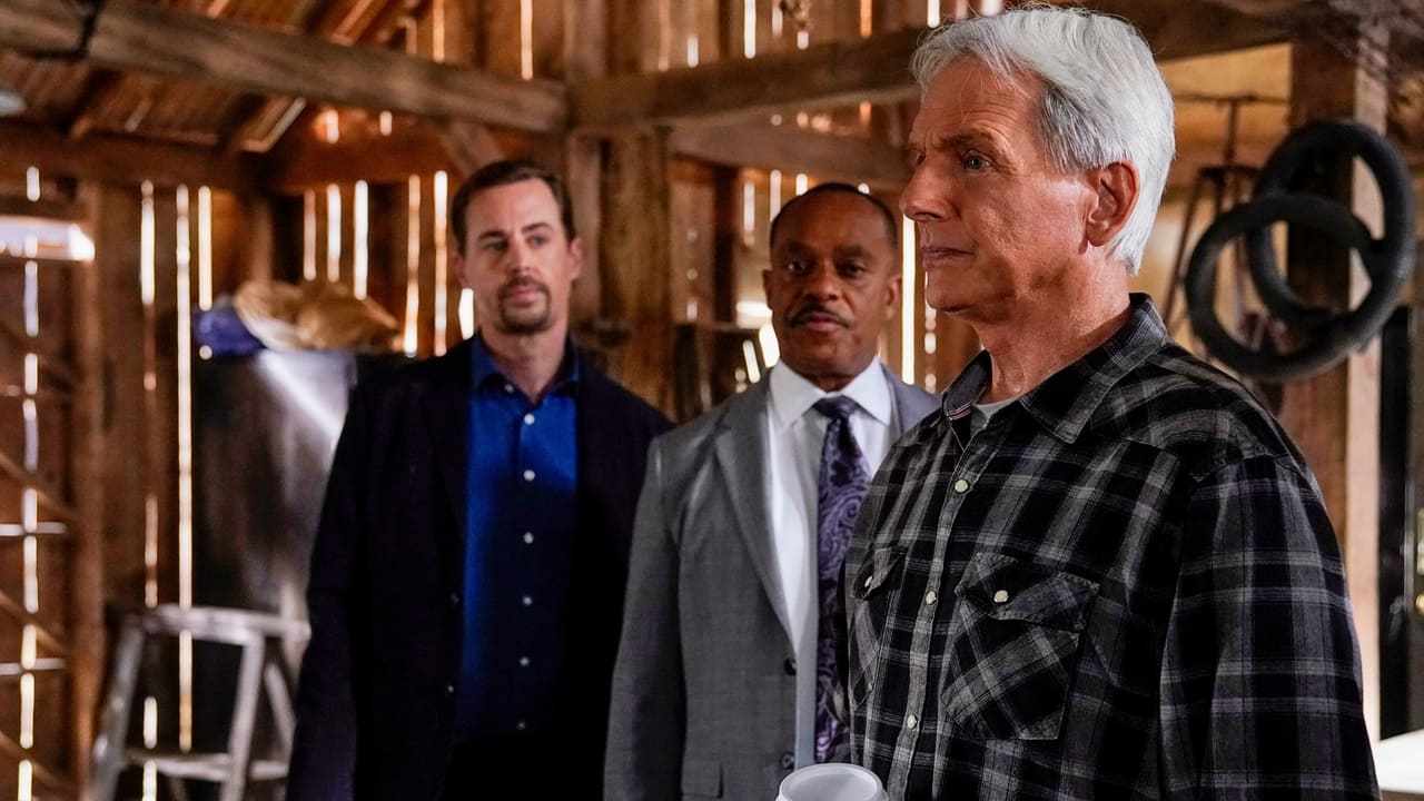 NCIS - Season 19 Episode 2 : Nearly Departed