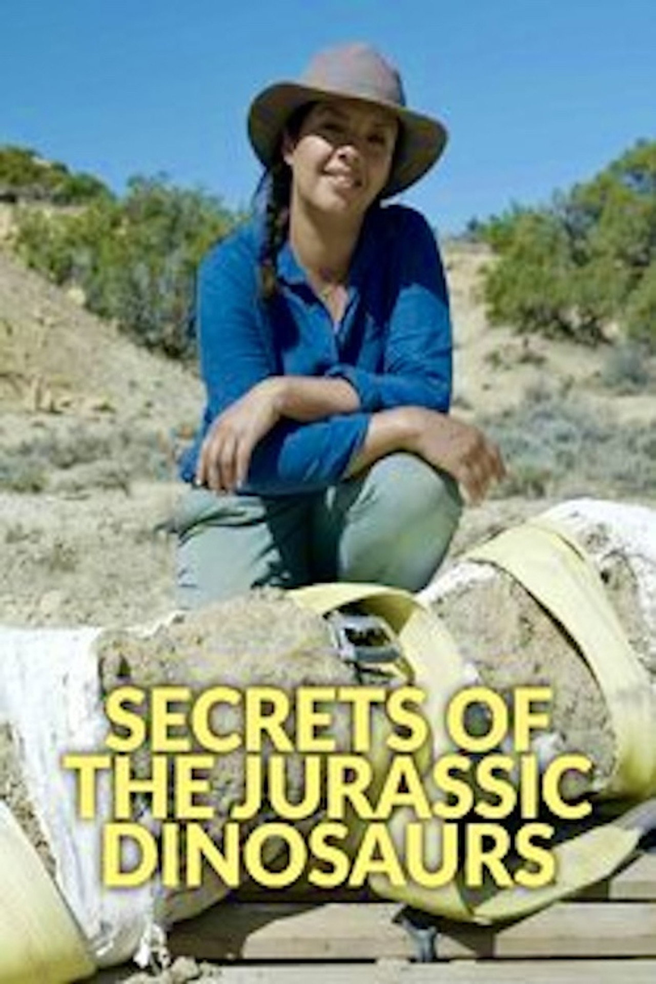 Secrets of the Jurassic Dinosaurs still 6