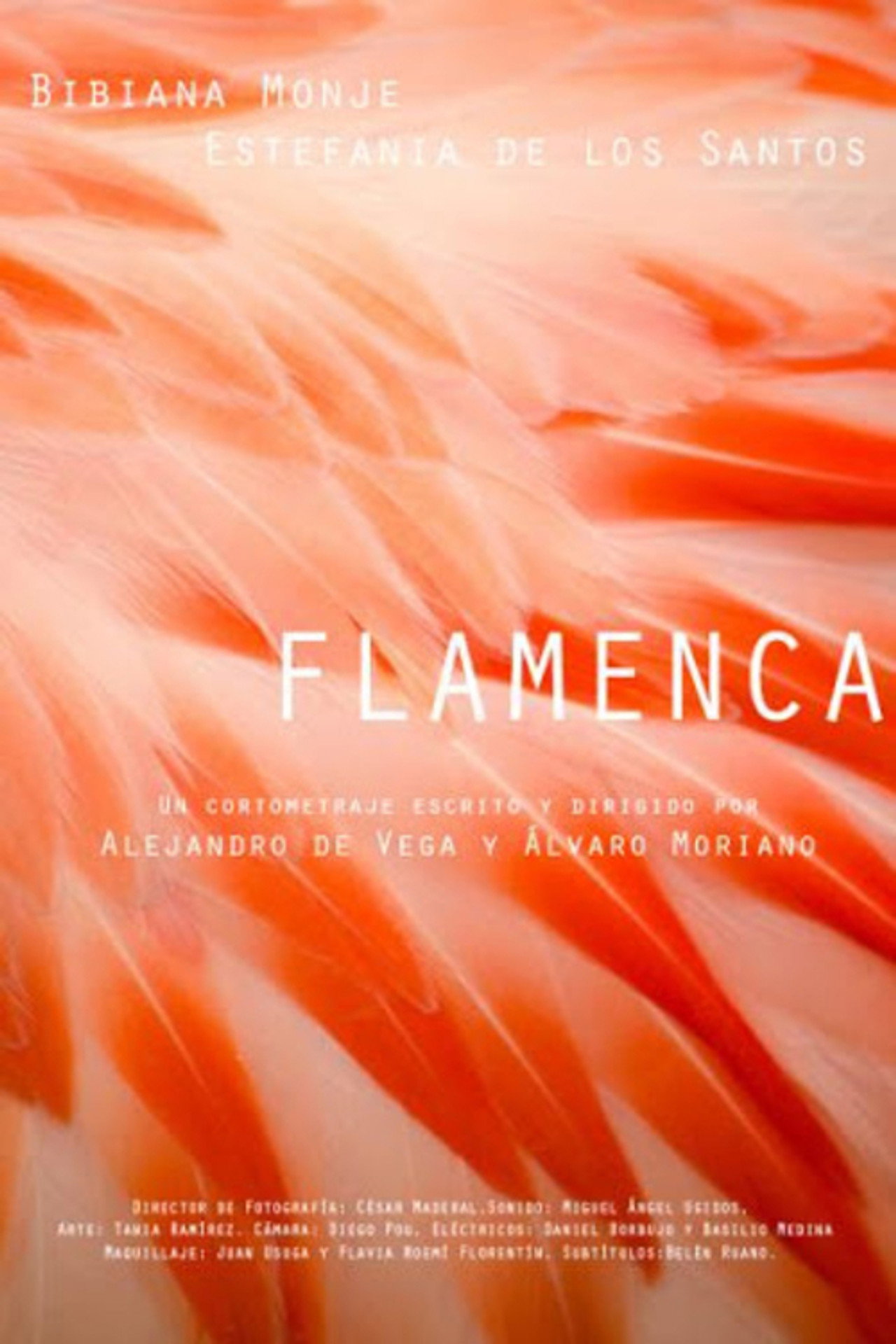 Flamenca filmaffisch