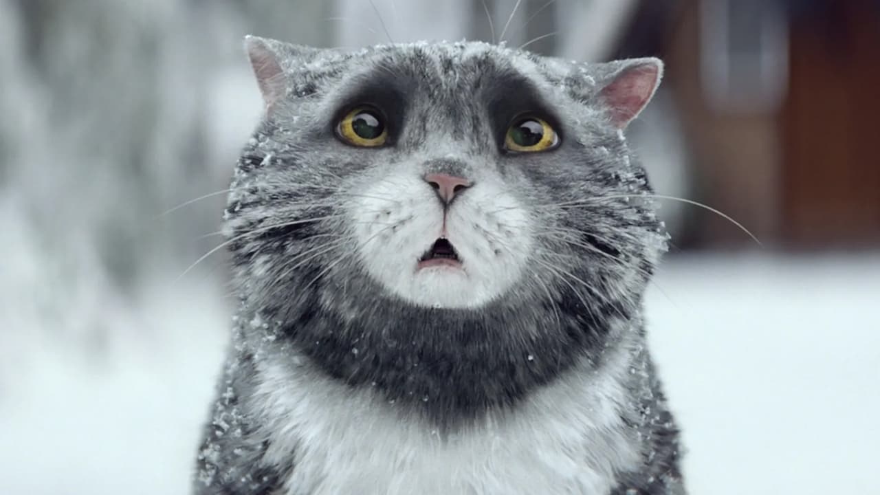 Scen från Sainsbury's: Mog's Christmas Calamity