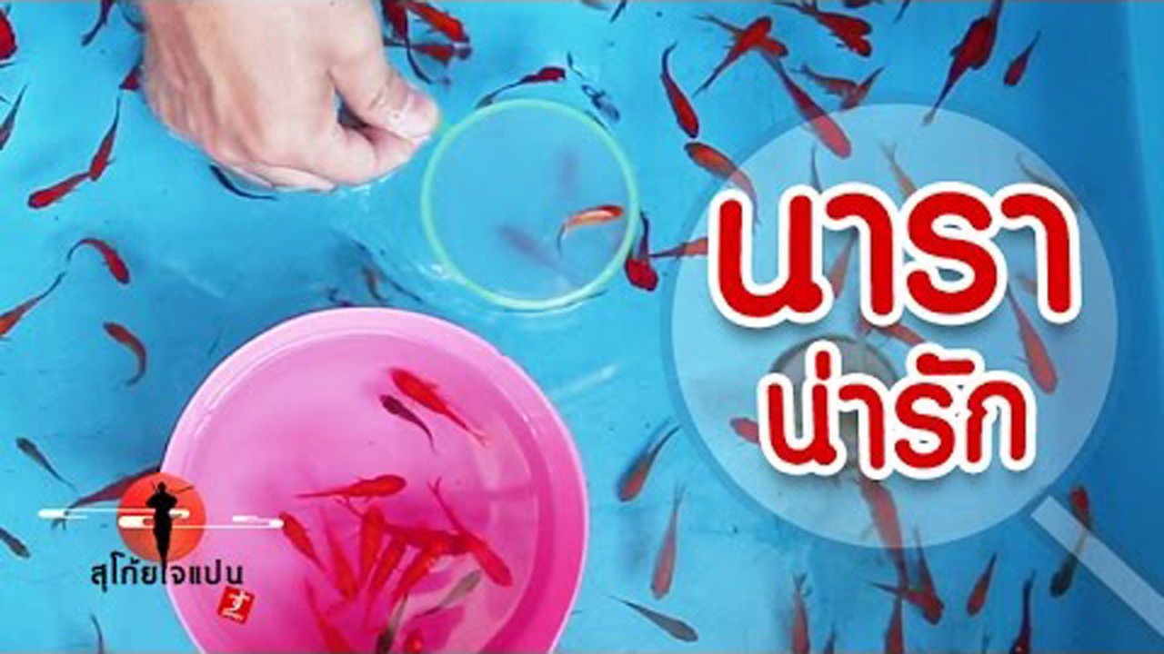 Sugoi Japan — Épisode 65