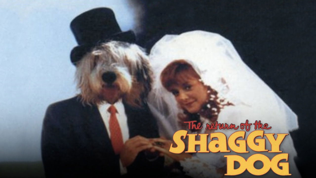 The Return of the Shaggy Dog