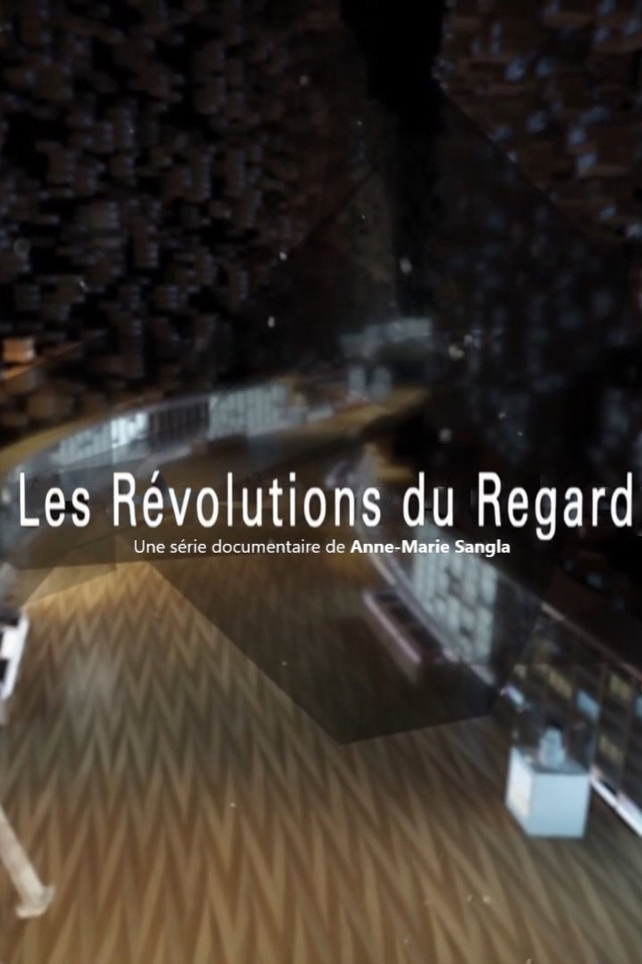 Les révolutions du regard affisch
