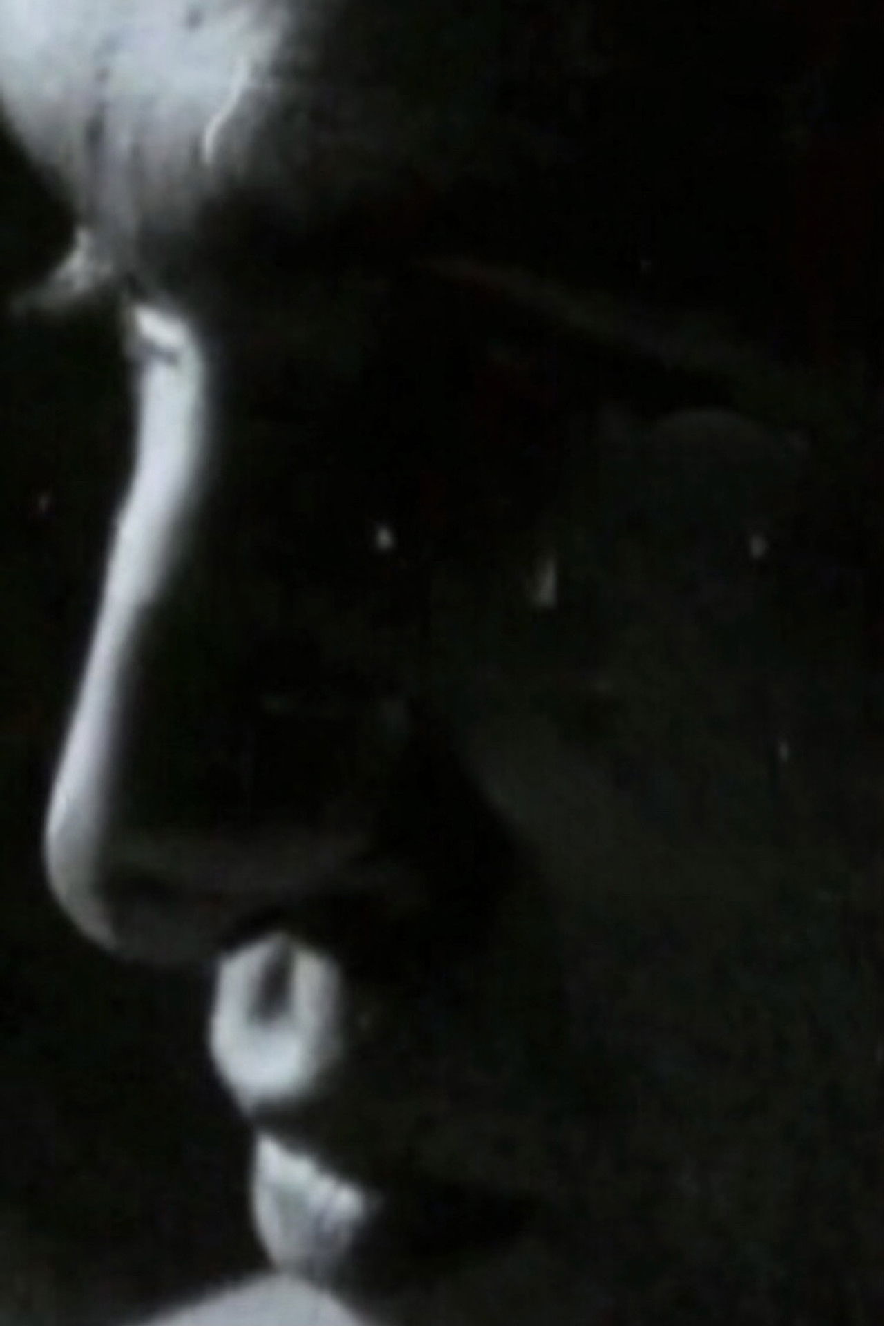 Doppio Ritratto: Schifano/Angeli Backdrop