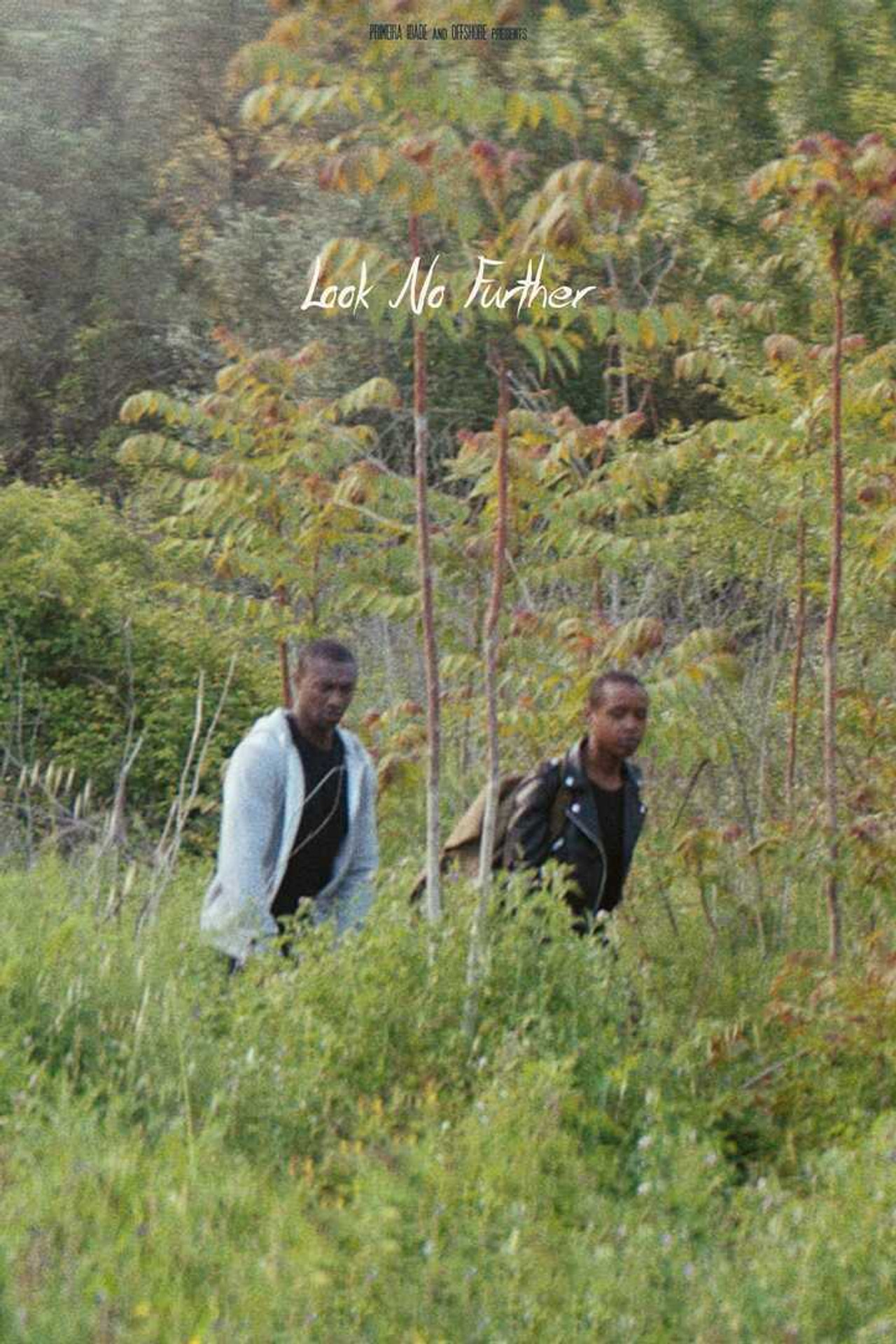 Look No Further Backdrop