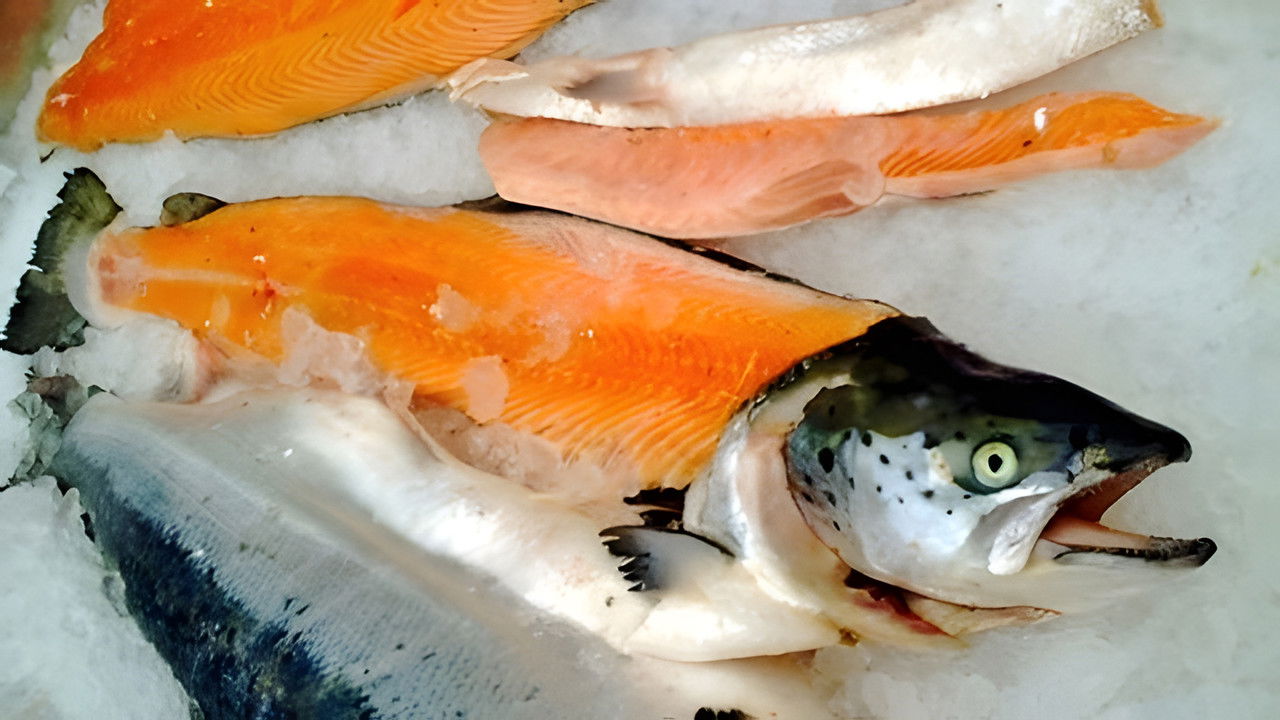 X Fun吃货俱乐部 — Épisode 9